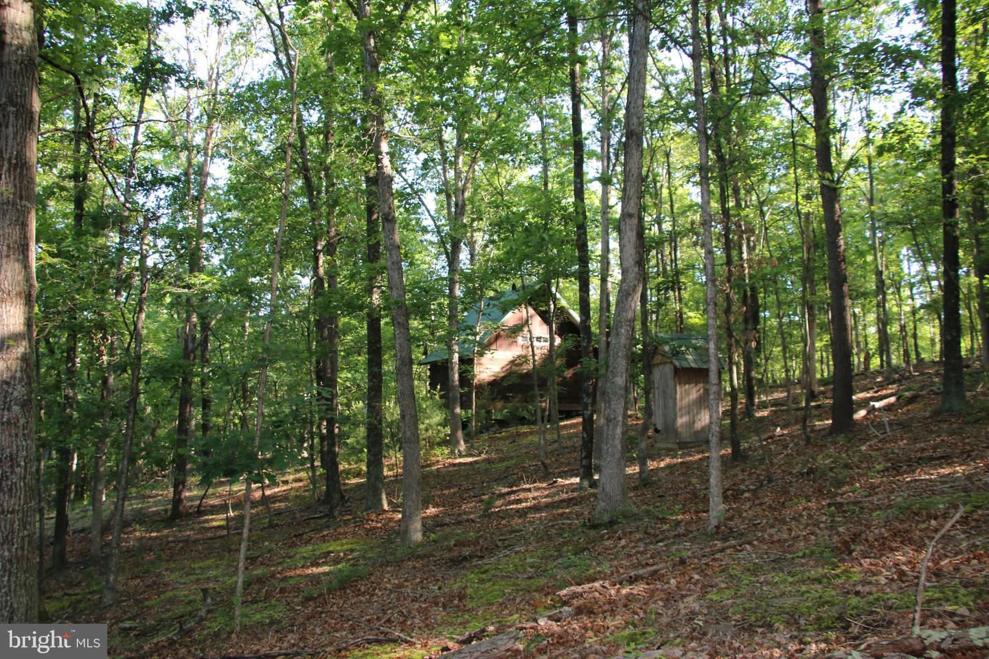 EASTER RIDGE LOT 8 LN, WINCHESTER, Virginia 22603, ,Land,For Sale,EASTER RIDGE LOT 8 LN,VAFV2034374 MLS # VAFV2034374