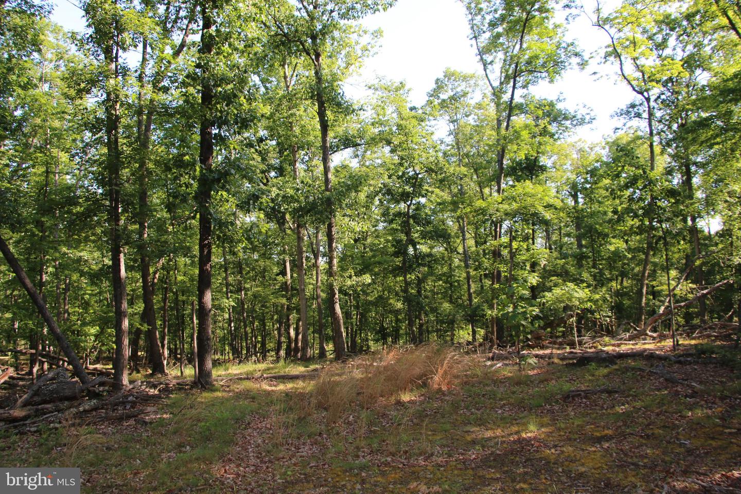 EASTER RIDGE LOT 8 LN, WINCHESTER, Virginia 22603, ,Land,For Sale,EASTER RIDGE LOT 8 LN,VAFV2034374 MLS # VAFV2034374