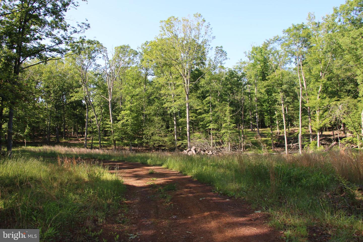 EASTER RIDGE LOT 8 LN, WINCHESTER, Virginia 22603, ,Land,For Sale,EASTER RIDGE LOT 8 LN,VAFV2034374 MLS # VAFV2034374