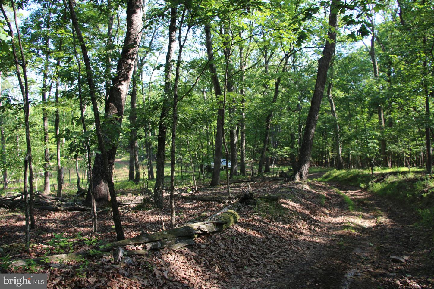 EASTER RIDGE LOT 8 LN, WINCHESTER, Virginia 22603, ,Land,For Sale,EASTER RIDGE LOT 8 LN,VAFV2034374 MLS # VAFV2034374