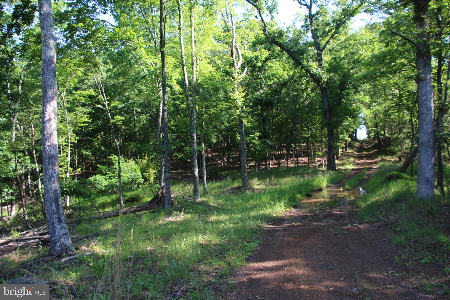 EASTER RIDGE LOT 8 LN, WINCHESTER, Virginia 22603, ,Land,For Sale,EASTER RIDGE LOT 8 LN,VAFV2034374 MLS # VAFV2034374