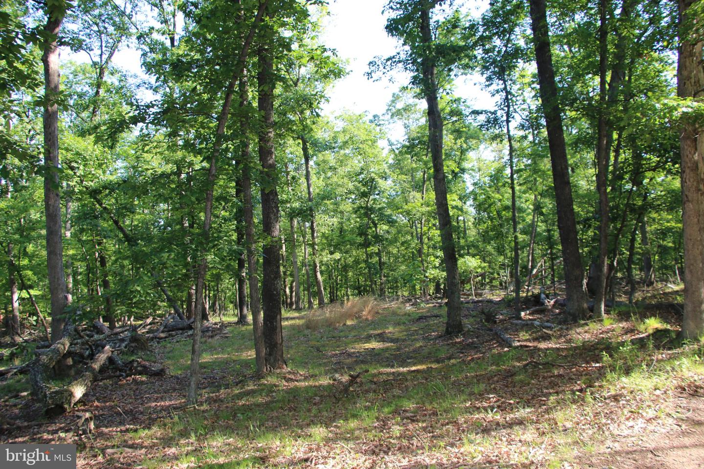 EASTER RIDGE LOT 8 LN, WINCHESTER, Virginia 22603, ,Land,For Sale,EASTER RIDGE LOT 8 LN,VAFV2034374 MLS # VAFV2034374