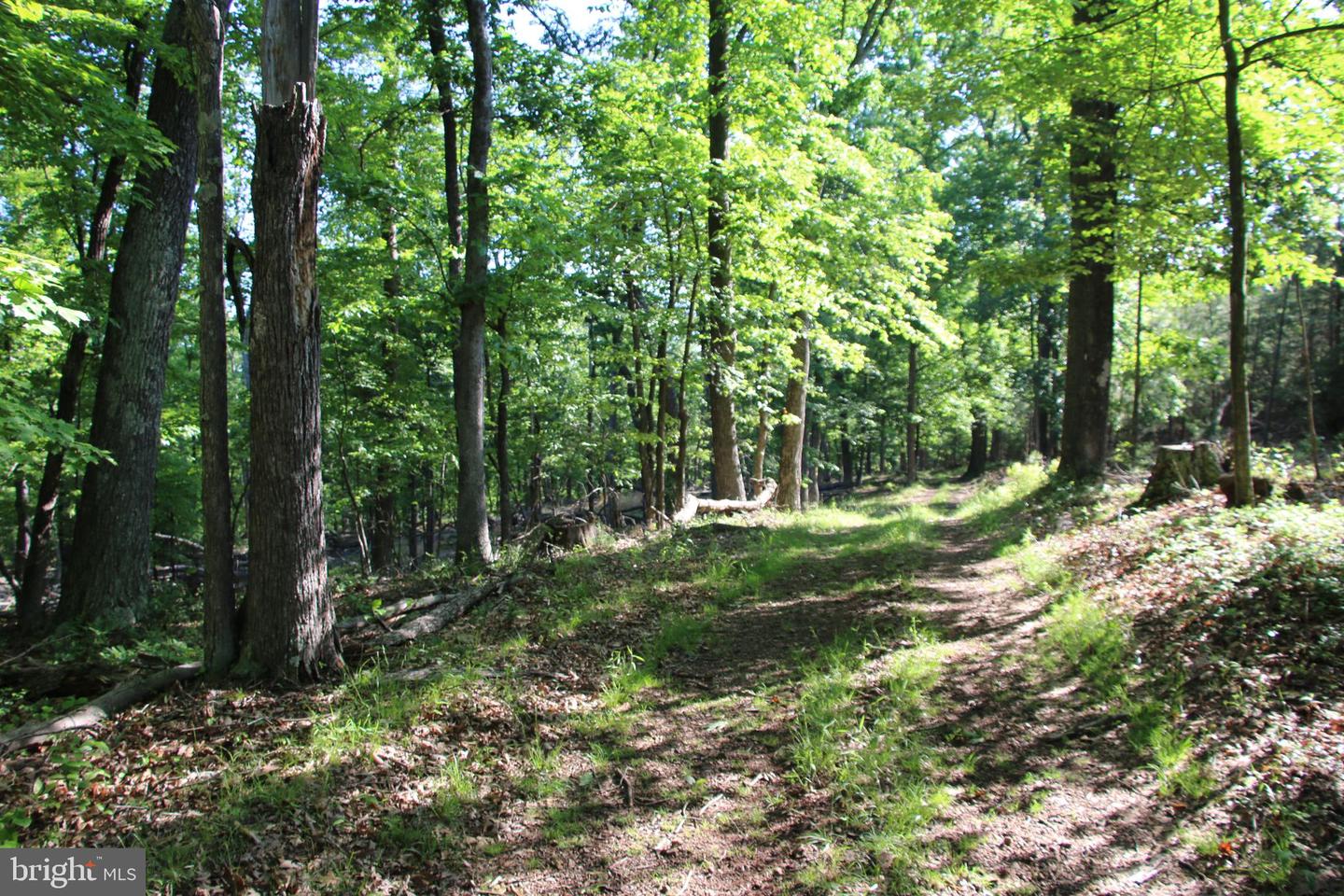 EASTER RIDGE LOT 8 LN, WINCHESTER, Virginia 22603, ,Land,For Sale,EASTER RIDGE LOT 8 LN,VAFV2034374 MLS # VAFV2034374