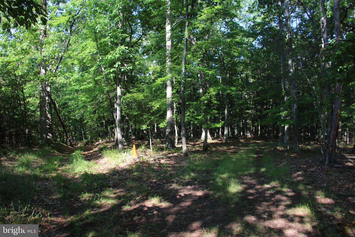 EASTER RIDGE LOT 8 LN, WINCHESTER, Virginia 22603, ,Land,For Sale,EASTER RIDGE LOT 8 LN,VAFV2034374 MLS # VAFV2034374