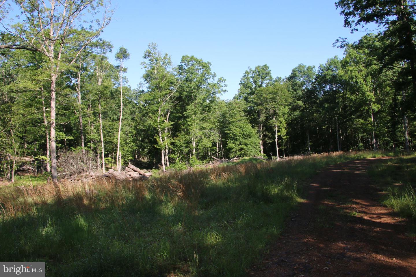 EASTER RIDGE LOT 8 LN, WINCHESTER, Virginia 22603, ,Land,For Sale,EASTER RIDGE LOT 8 LN,VAFV2034374 MLS # VAFV2034374