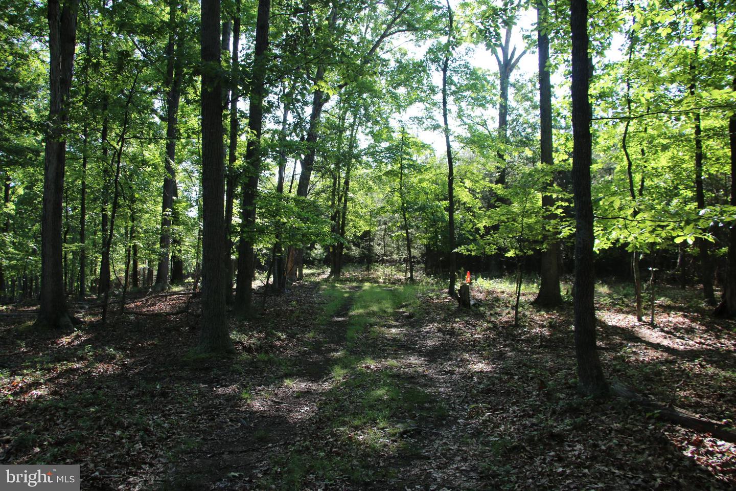 EASTER RIDGE LOT 8 LN, WINCHESTER, Virginia 22603, ,Land,For Sale,EASTER RIDGE LOT 8 LN,VAFV2034374 MLS # VAFV2034374