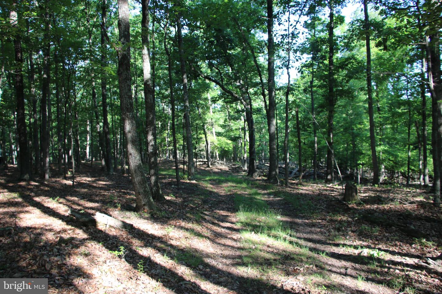 EASTER RIDGE LOT 8 LN, WINCHESTER, Virginia 22603, ,Land,For Sale,EASTER RIDGE LOT 8 LN,VAFV2034374 MLS # VAFV2034374