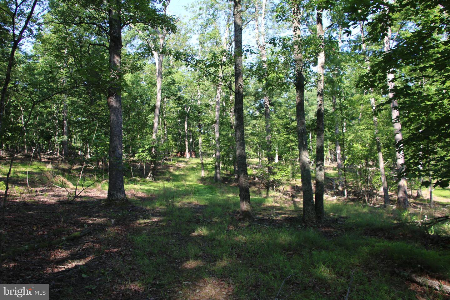 EASTER RIDGE LOT 8 LN, WINCHESTER, Virginia 22603, ,Land,For Sale,EASTER RIDGE LOT 8 LN,VAFV2034374 MLS # VAFV2034374