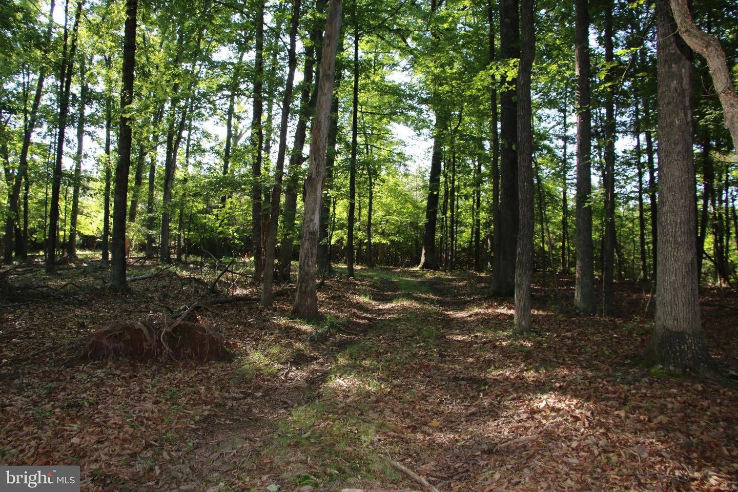 EASTER RIDGE LOT 8 LN, WINCHESTER, Virginia 22603, ,Land,For Sale,EASTER RIDGE LOT 8 LN,VAFV2034374 MLS # VAFV2034374