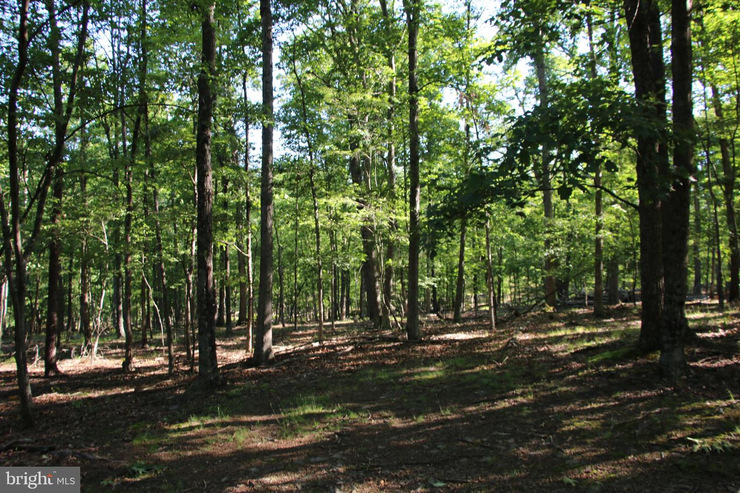 EASTER RIDGE LOT 8 LN, WINCHESTER, Virginia 22603, ,Land,For Sale,EASTER RIDGE LOT 8 LN,VAFV2034374 MLS # VAFV2034374