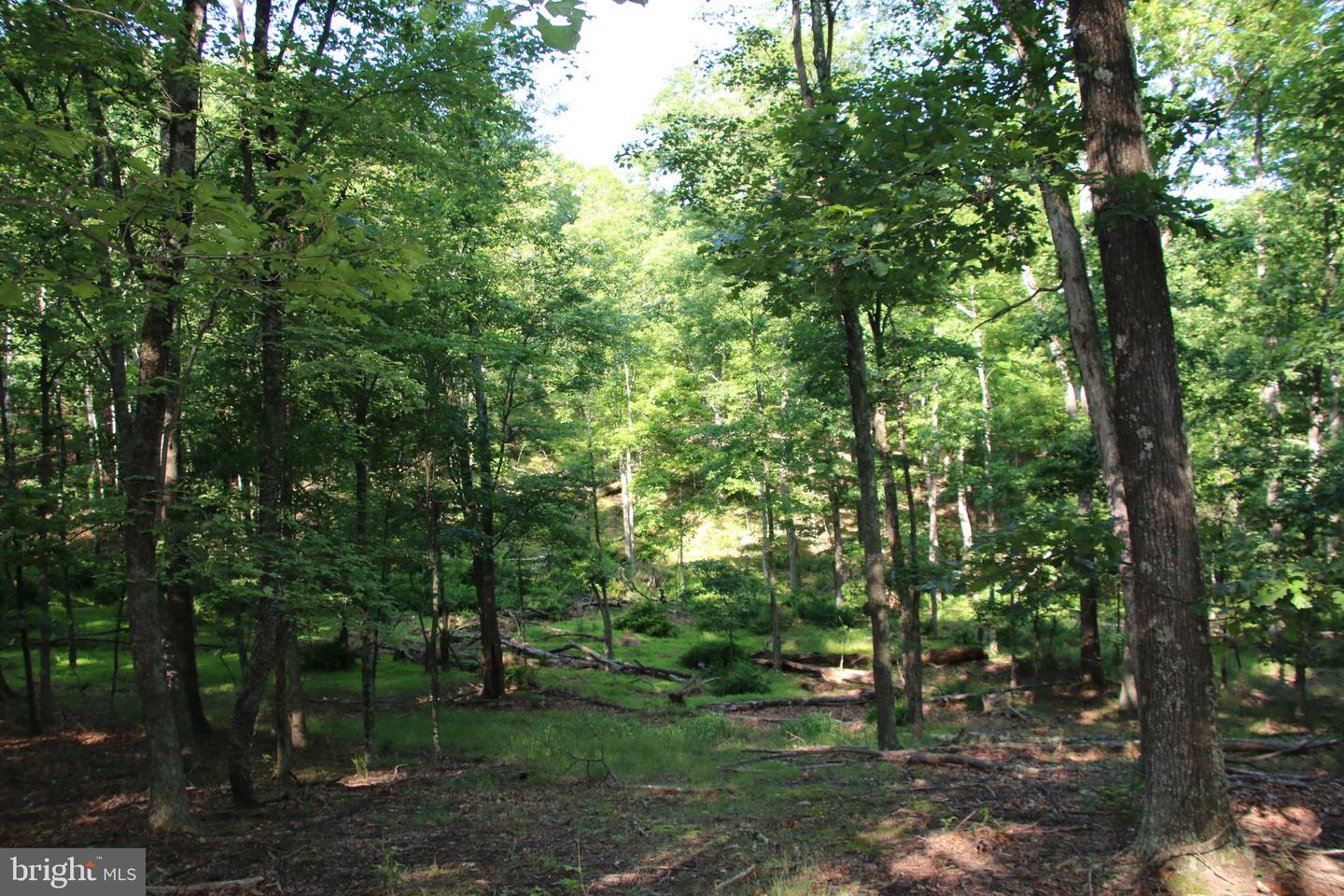 EASTER RIDGE LOT 8 LN, WINCHESTER, Virginia 22603, ,Land,For Sale,EASTER RIDGE LOT 8 LN,VAFV2034374 MLS # VAFV2034374
