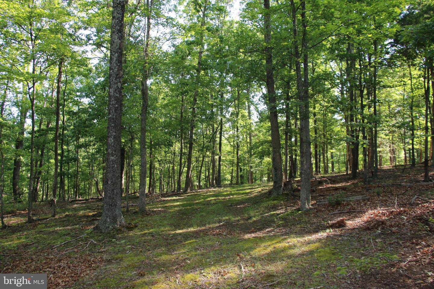 EASTER RIDGE LOT 8 LN, WINCHESTER, Virginia 22603, ,Land,For Sale,EASTER RIDGE LOT 8 LN,VAFV2034374 MLS # VAFV2034374