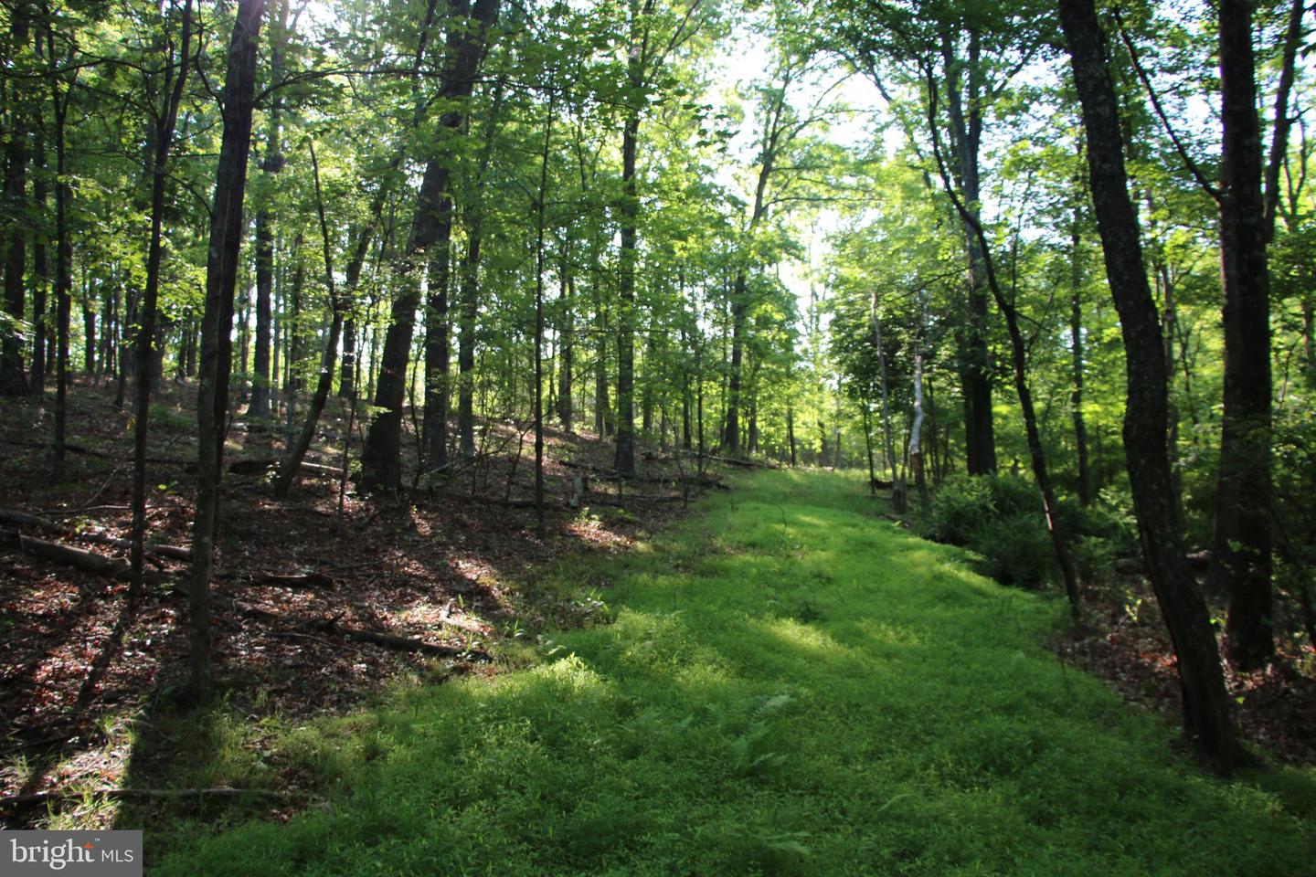 EASTER RIDGE LOT 8 LN, WINCHESTER, Virginia 22603, ,Land,For Sale,EASTER RIDGE LOT 8 LN,VAFV2034374 MLS # VAFV2034374
