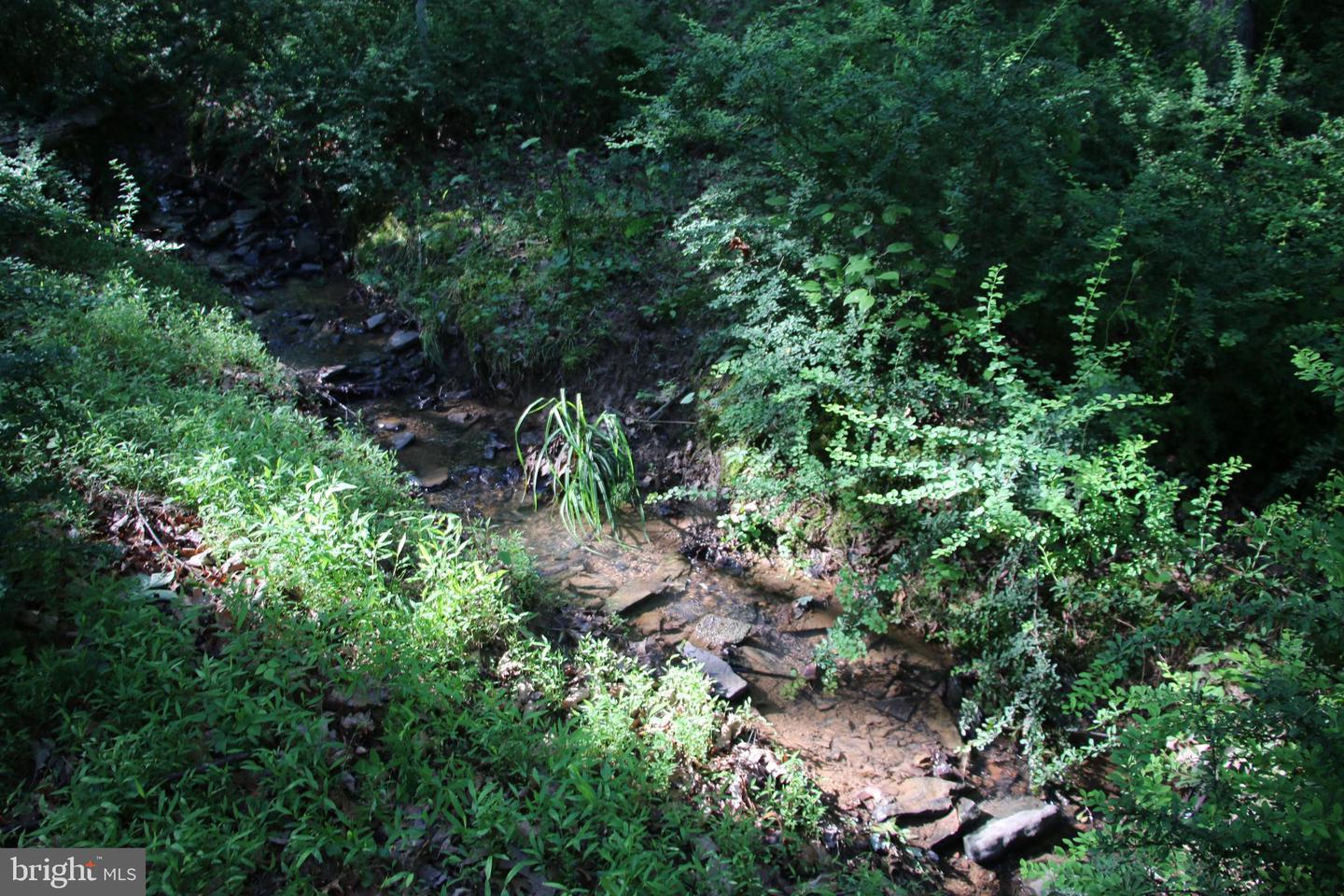 EASTER RIDGE LOT 8 LN, WINCHESTER, Virginia 22603, ,Land,For Sale,EASTER RIDGE LOT 8 LN,VAFV2034374 MLS # VAFV2034374