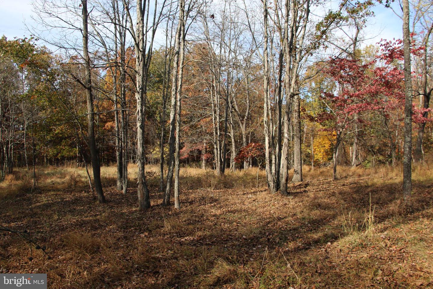 EASTER RIDGE LOT 8 LN, WINCHESTER, Virginia 22603, ,Land,For Sale,EASTER RIDGE LOT 8 LN,VAFV2034374 MLS # VAFV2034374