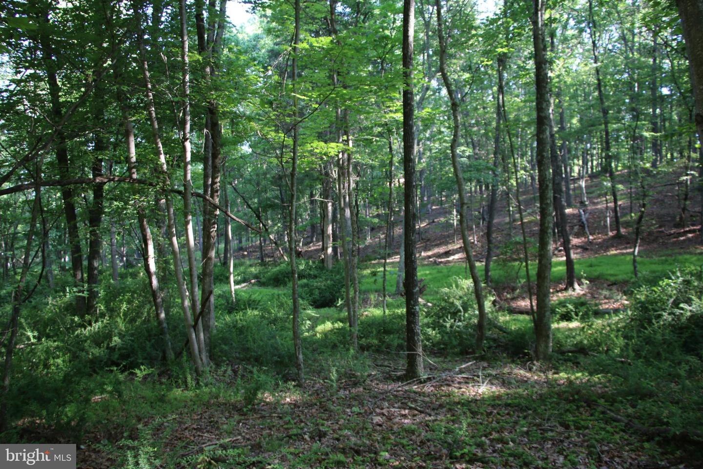 EASTER RIDGE LOT 8 LN, WINCHESTER, Virginia 22603, ,Land,For Sale,EASTER RIDGE LOT 8 LN,VAFV2034374 MLS # VAFV2034374