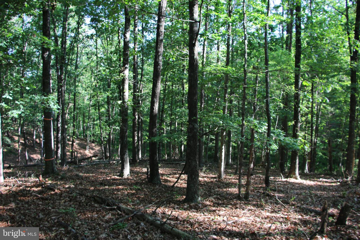 EASTER RIDGE LOT 8 LN, WINCHESTER, Virginia 22603, ,Land,For Sale,EASTER RIDGE LOT 8 LN,VAFV2034374 MLS # VAFV2034374
