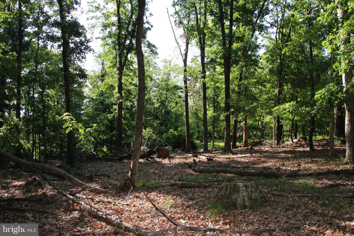 EASTER RIDGE LOT 8 LN, WINCHESTER, Virginia 22603, ,Land,For Sale,EASTER RIDGE LOT 8 LN,VAFV2034374 MLS # VAFV2034374