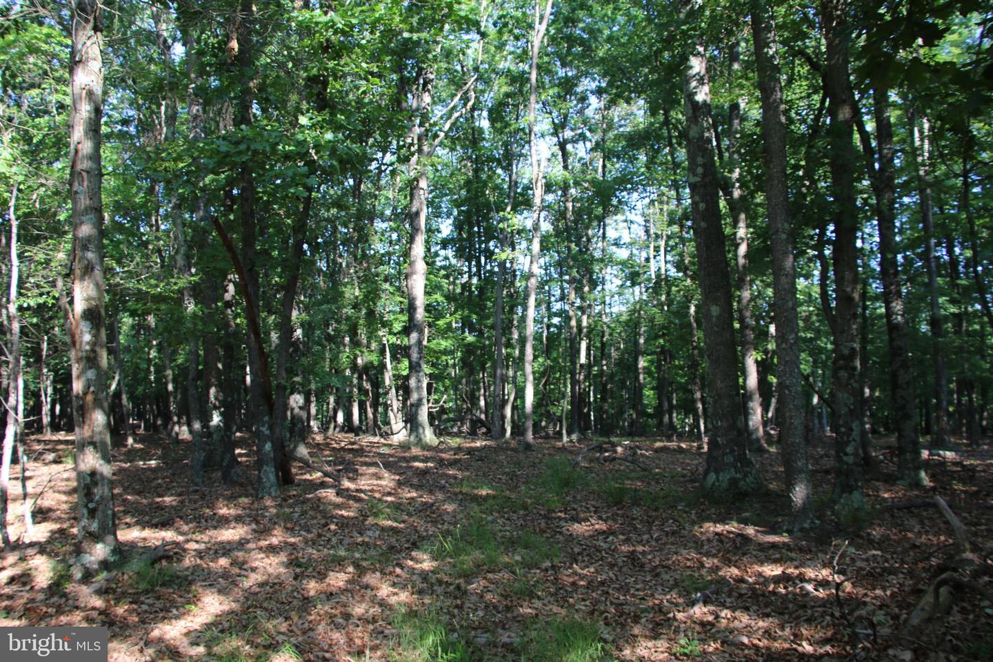 EASTER RIDGE LOT 8 LN, WINCHESTER, Virginia 22603, ,Land,For Sale,EASTER RIDGE LOT 8 LN,VAFV2034374 MLS # VAFV2034374
