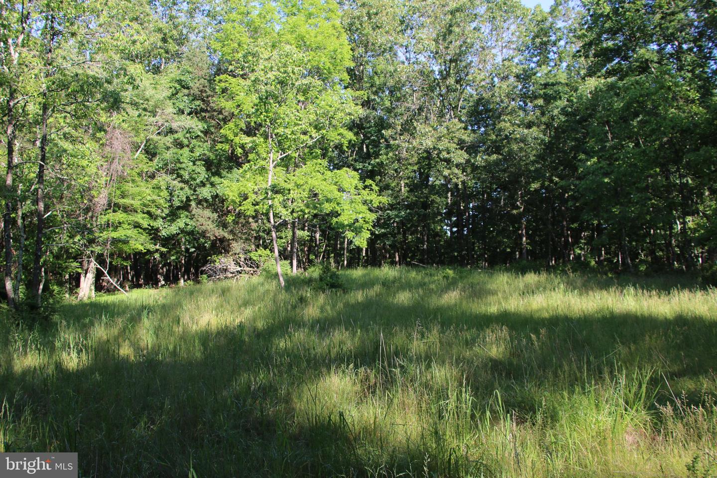 EASTER RIDGE LOT 8 LN, WINCHESTER, Virginia 22603, ,Land,For Sale,EASTER RIDGE LOT 8 LN,VAFV2034374 MLS # VAFV2034374