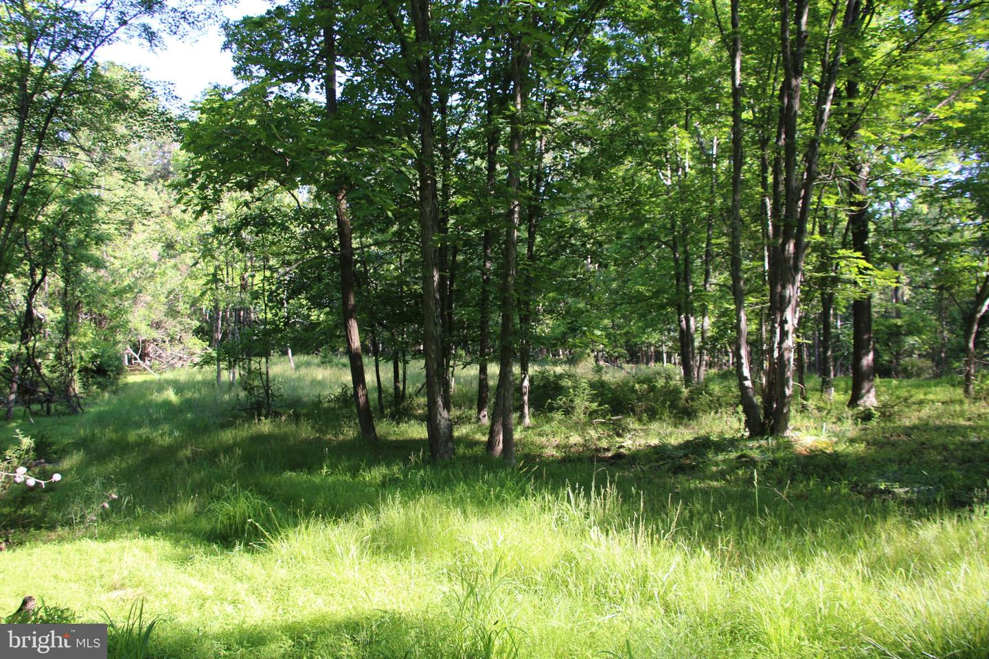 EASTER RIDGE LOT 8 LN, WINCHESTER, Virginia 22603, ,Land,For Sale,EASTER RIDGE LOT 8 LN,VAFV2034374 MLS # VAFV2034374