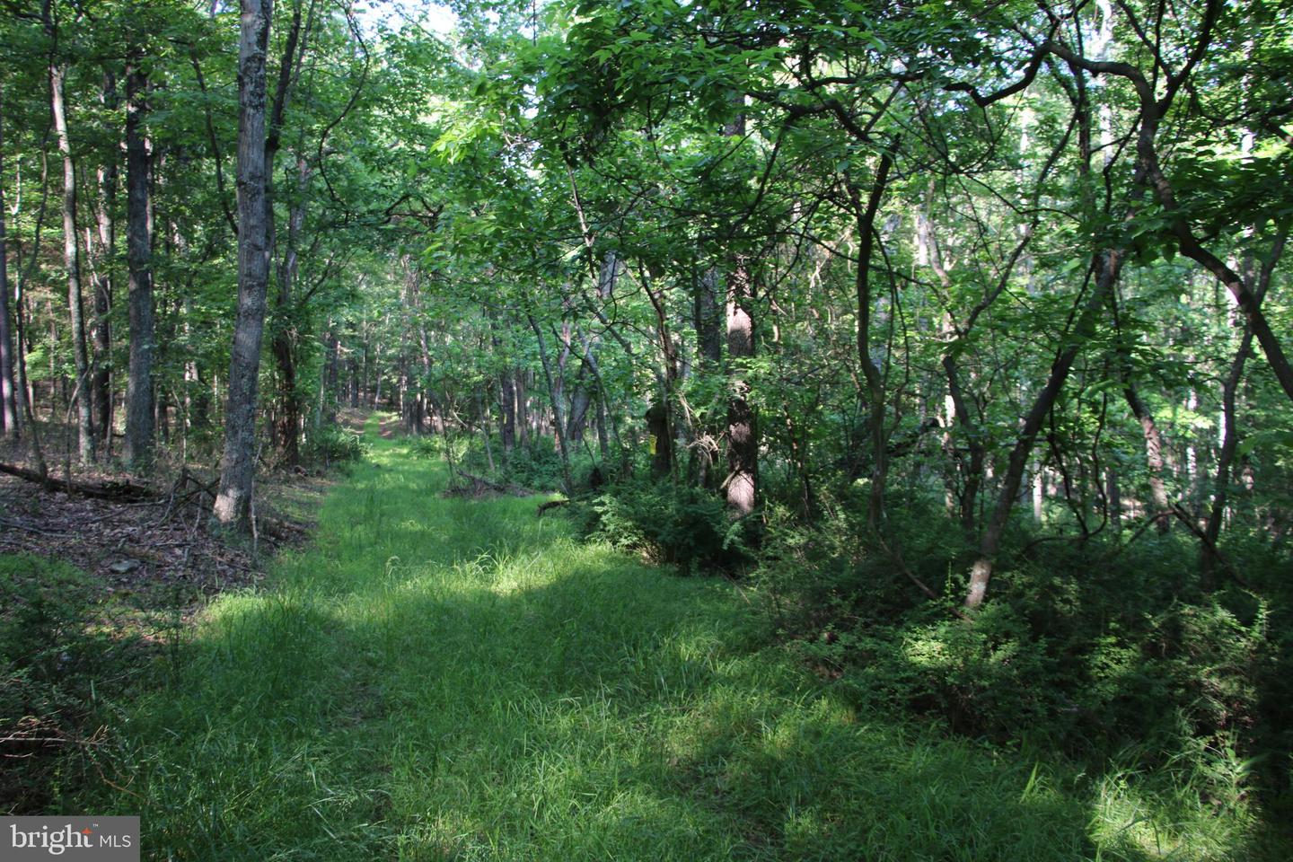 EASTER RIDGE LOT 8 LN, WINCHESTER, Virginia 22603, ,Land,For Sale,EASTER RIDGE LOT 8 LN,VAFV2034374 MLS # VAFV2034374