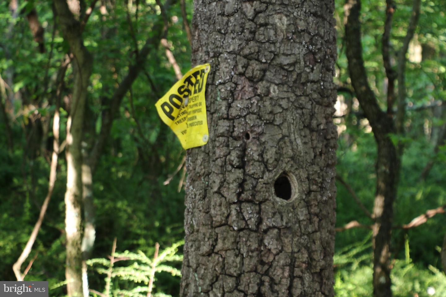 EASTER RIDGE LOT 8 LN, WINCHESTER, Virginia 22603, ,Land,For Sale,EASTER RIDGE LOT 8 LN,VAFV2034374 MLS # VAFV2034374