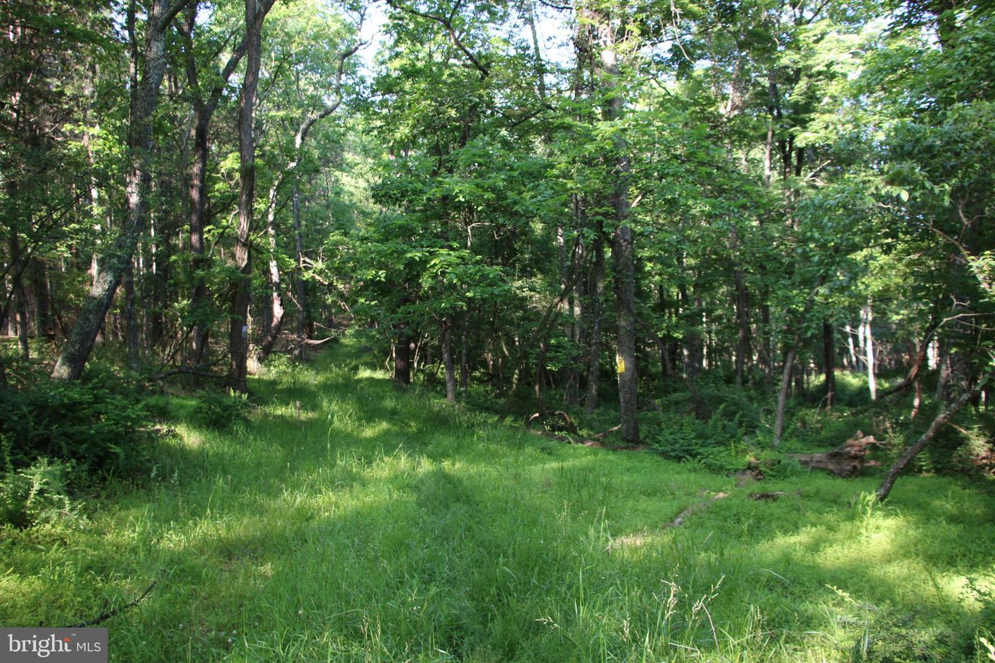 EASTER RIDGE LOT 8 LN, WINCHESTER, Virginia 22603, ,Land,For Sale,EASTER RIDGE LOT 8 LN,VAFV2034374 MLS # VAFV2034374