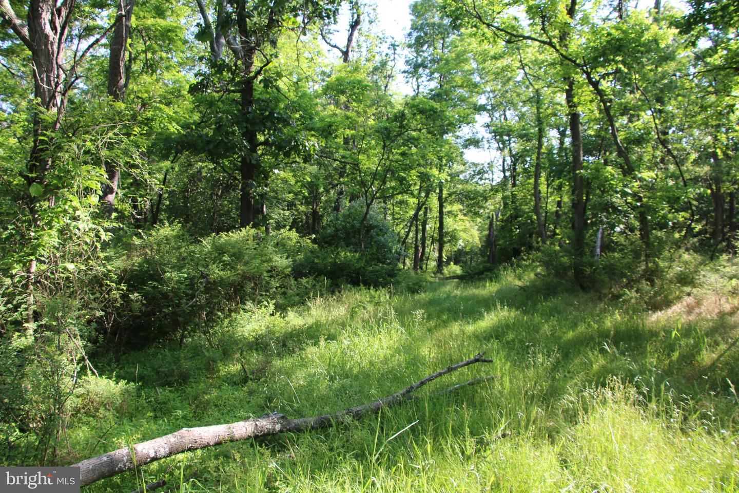 EASTER RIDGE LOT 8 LN, WINCHESTER, Virginia 22603, ,Land,For Sale,EASTER RIDGE LOT 8 LN,VAFV2034374 MLS # VAFV2034374
