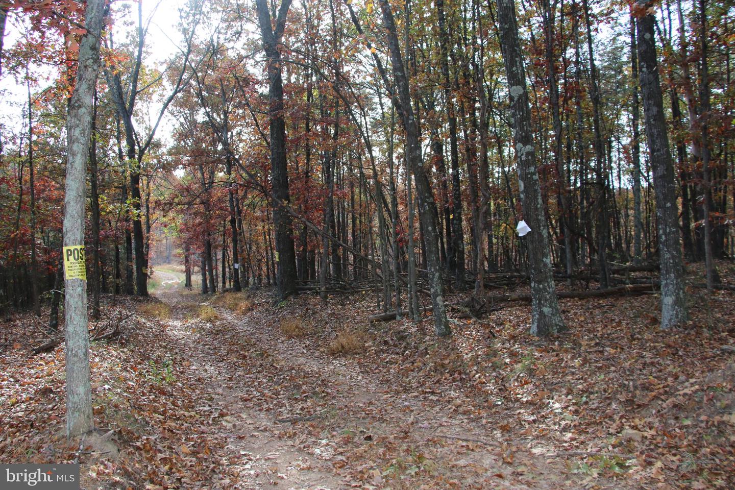 EASTER RIDGE LOT 8 LN, WINCHESTER, Virginia 22603, ,Land,For Sale,EASTER RIDGE LOT 8 LN,VAFV2034374 MLS # VAFV2034374
