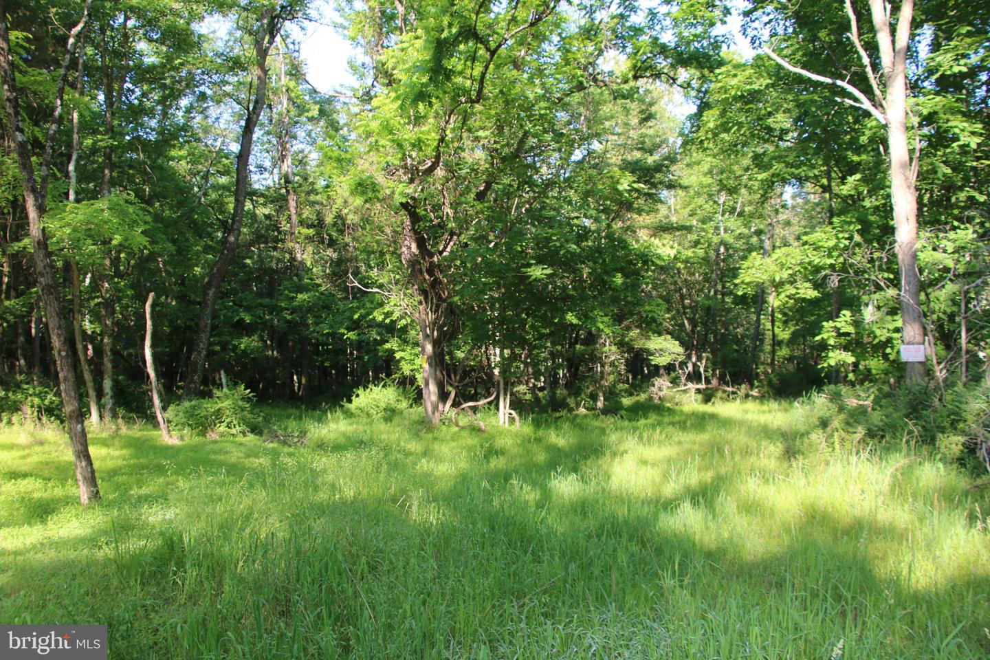 EASTER RIDGE LOT 8 LN, WINCHESTER, Virginia 22603, ,Land,For Sale,EASTER RIDGE LOT 8 LN,VAFV2034374 MLS # VAFV2034374