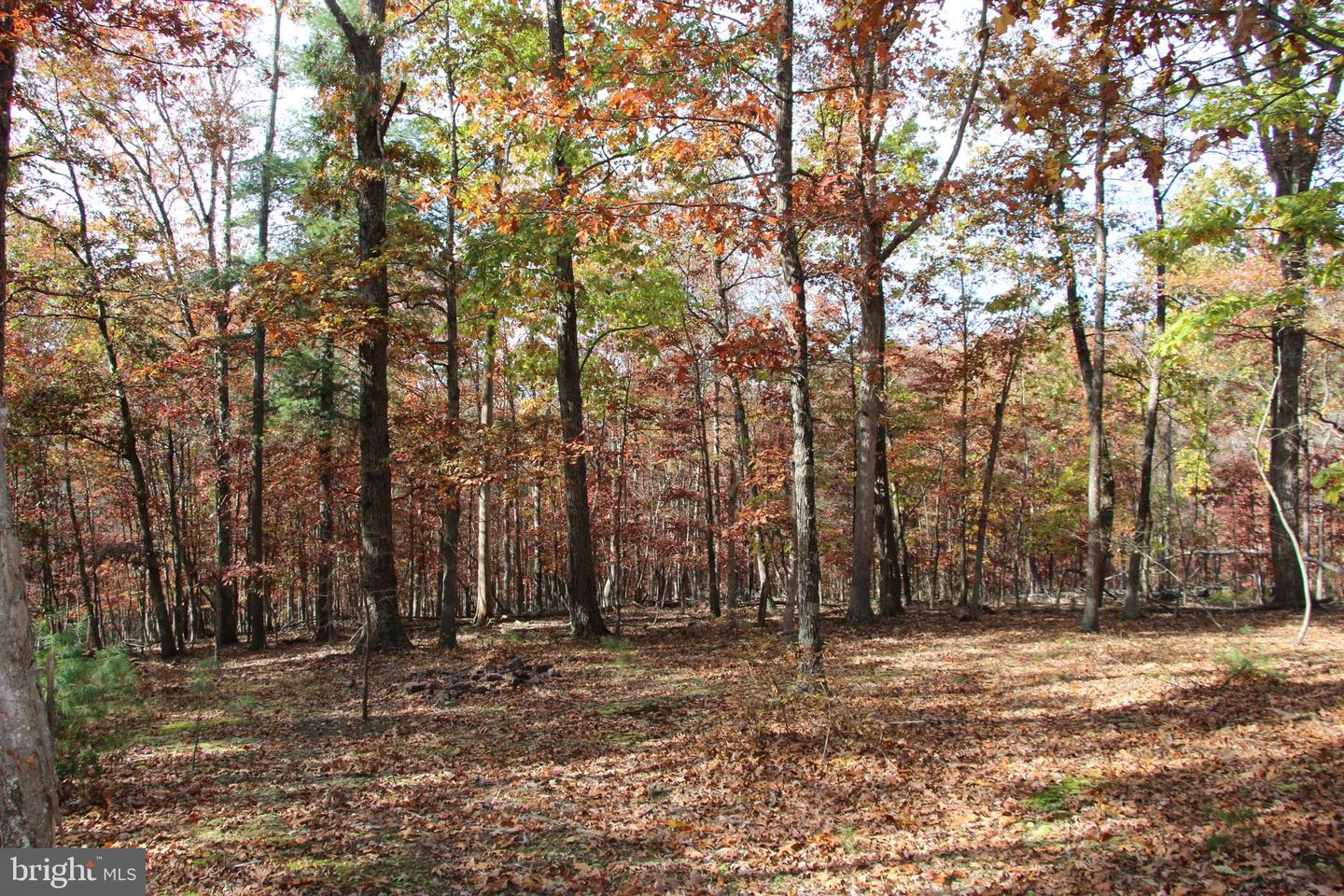 EASTER RIDGE LOT 8 LN, WINCHESTER, Virginia 22603, ,Land,For Sale,EASTER RIDGE LOT 8 LN,VAFV2034374 MLS # VAFV2034374