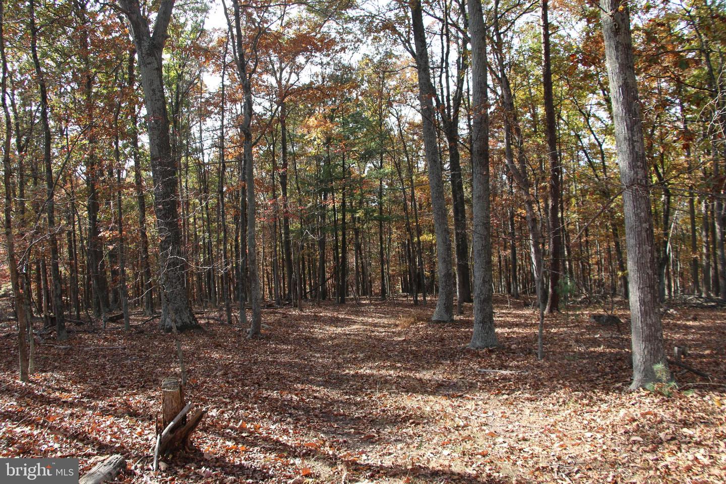 EASTER RIDGE LOT 8 LN, WINCHESTER, Virginia 22603, ,Land,For Sale,EASTER RIDGE LOT 8 LN,VAFV2034374 MLS # VAFV2034374