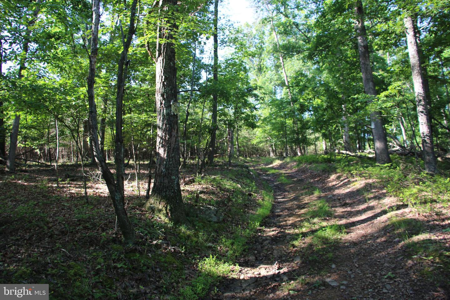 EASTER RIDGE LOT 7A LN, WINCHESTER, Virginia 22603, ,Land,For Sale,EASTER RIDGE LOT 7A LN,VAFV2034376 MLS # VAFV2034376