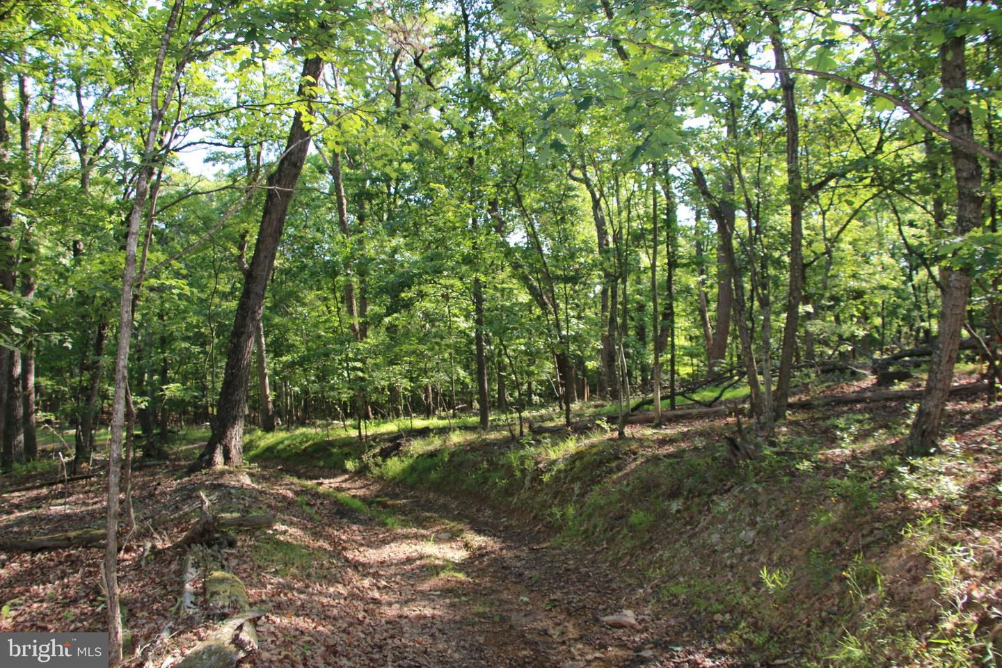 EASTER RIDGE LOT 7A LN, WINCHESTER, Virginia 22603, ,Land,For Sale,EASTER RIDGE LOT 7A LN,VAFV2034376 MLS # VAFV2034376