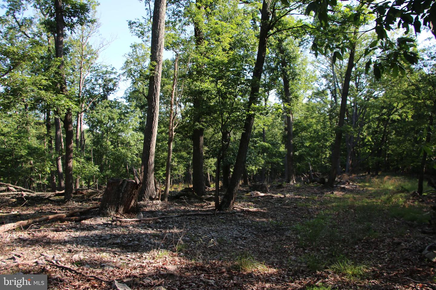 EASTER RIDGE LOT 7A LN, WINCHESTER, Virginia 22603, ,Land,For Sale,EASTER RIDGE LOT 7A LN,VAFV2034376 MLS # VAFV2034376