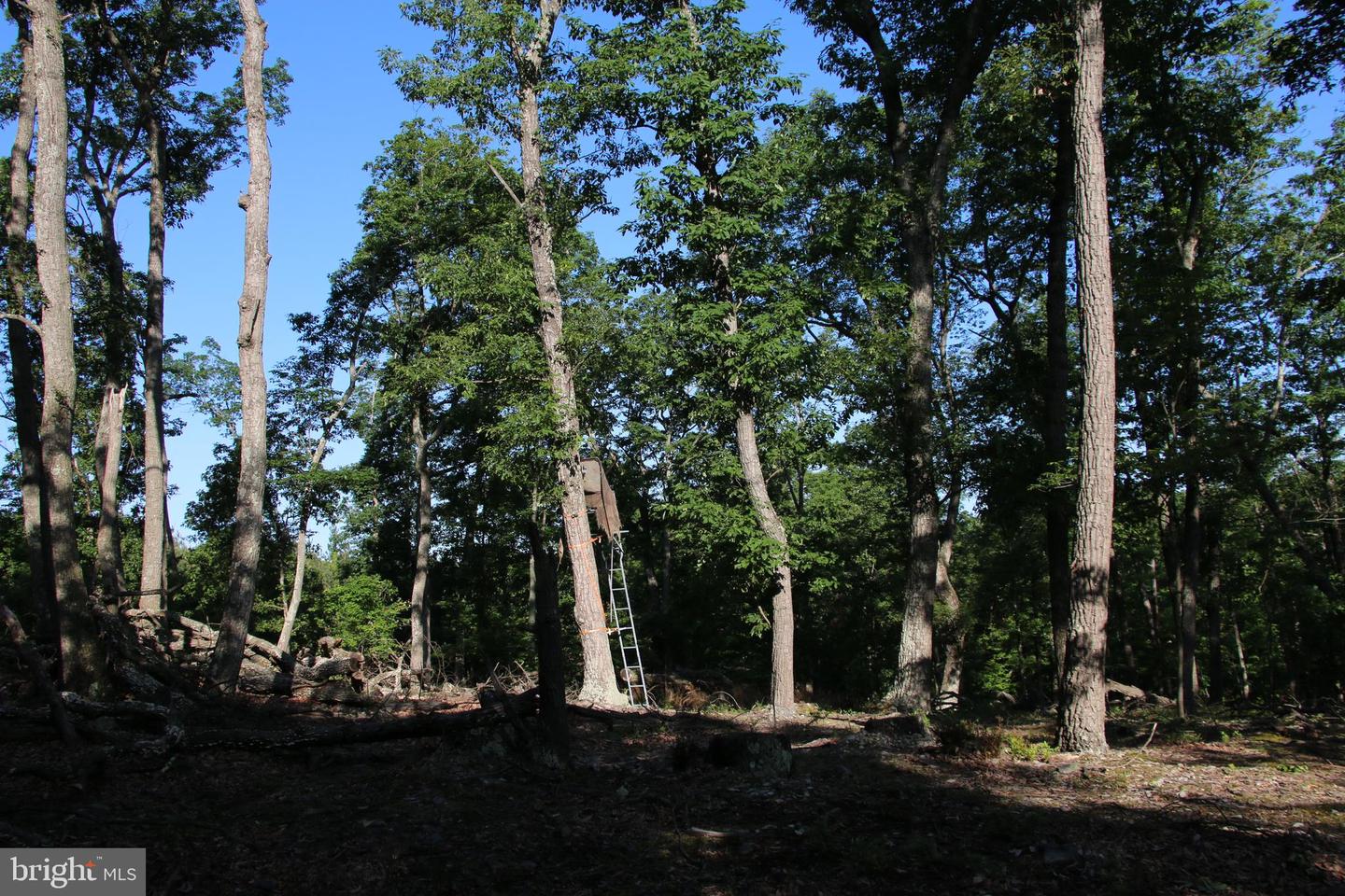 EASTER RIDGE LOT 7A LN, WINCHESTER, Virginia 22603, ,Land,For Sale,EASTER RIDGE LOT 7A LN,VAFV2034376 MLS # VAFV2034376