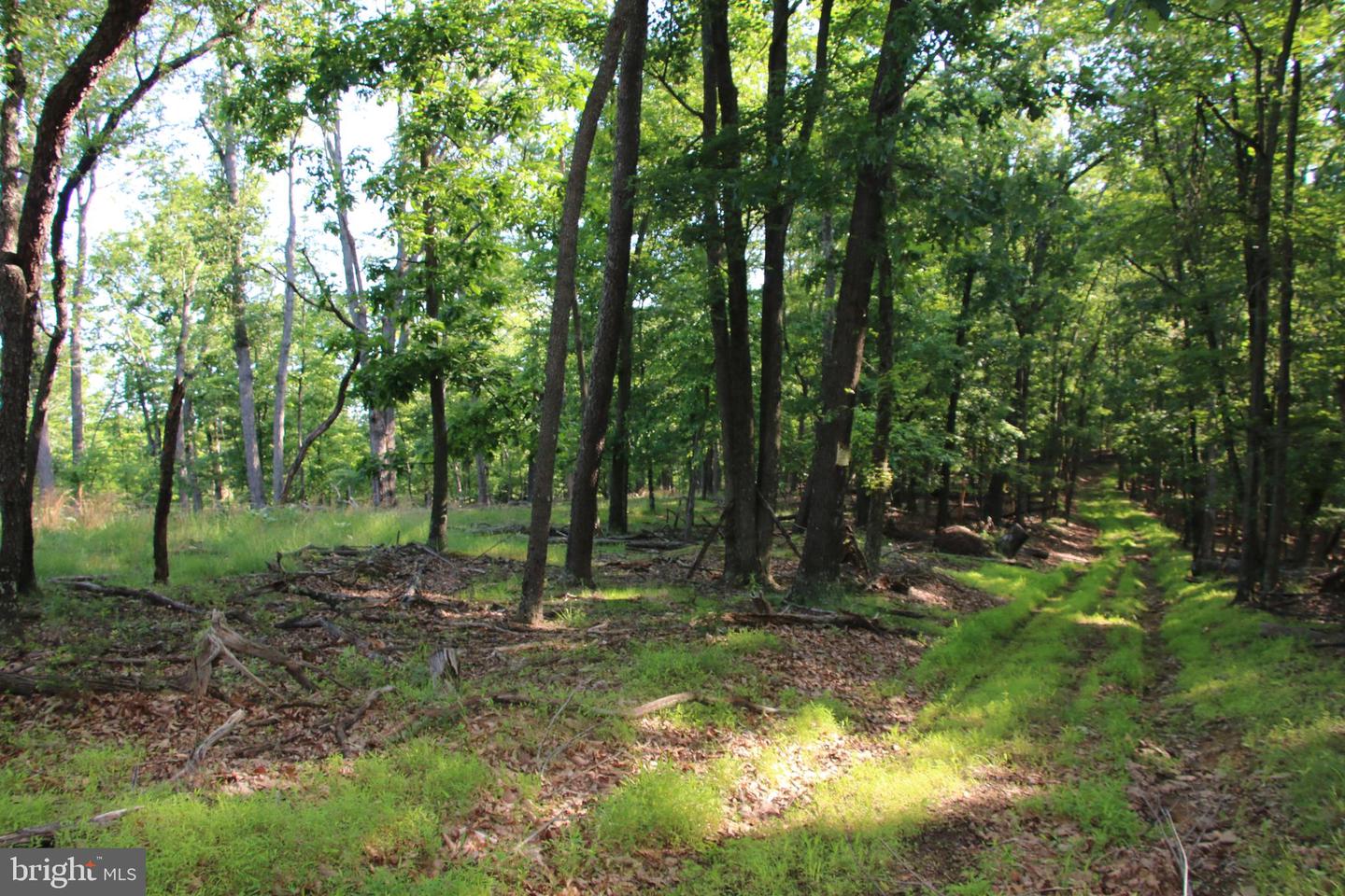 EASTER RIDGE LOT 7A LN, WINCHESTER, Virginia 22603, ,Land,For Sale,EASTER RIDGE LOT 7A LN,VAFV2034376 MLS # VAFV2034376