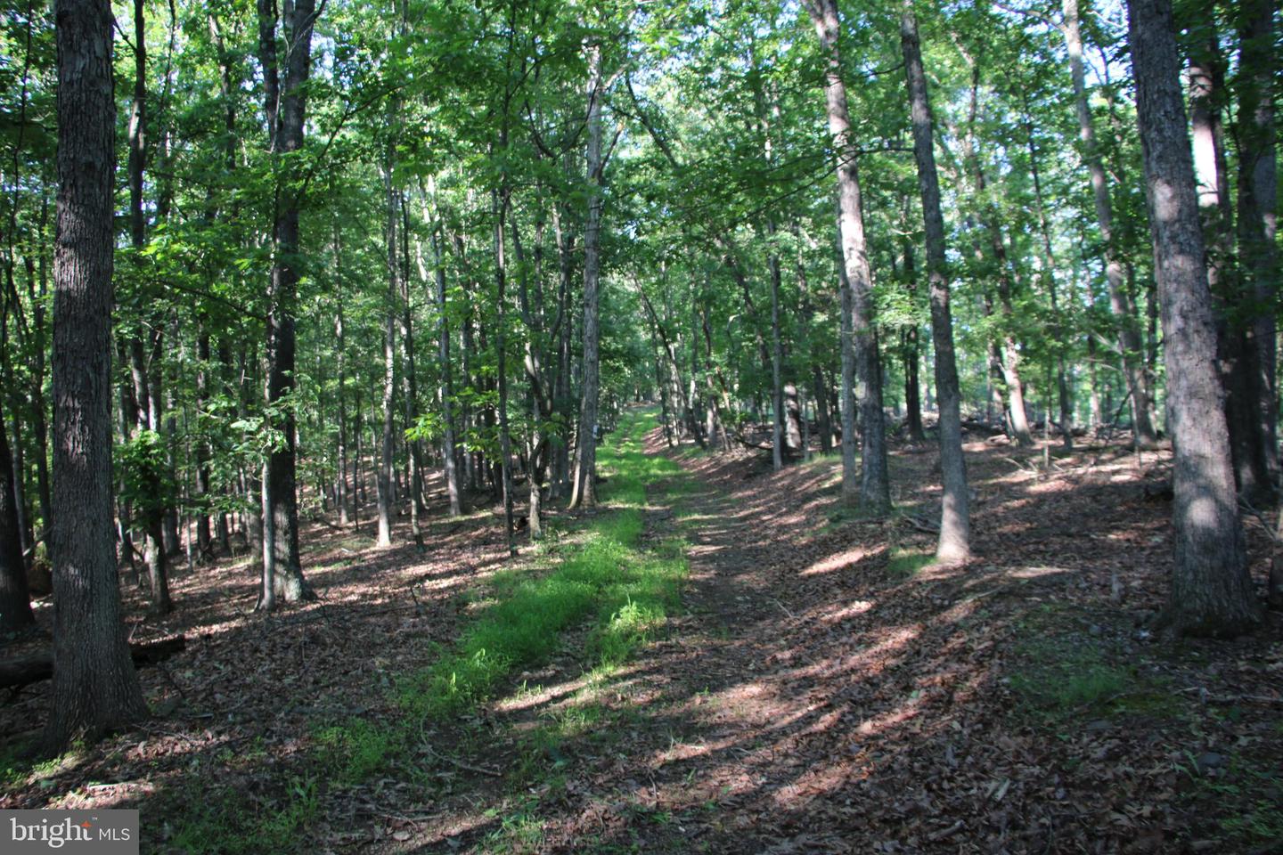 EASTER RIDGE LOT 7A LN, WINCHESTER, Virginia 22603, ,Land,For Sale,EASTER RIDGE LOT 7A LN,VAFV2034376 MLS # VAFV2034376