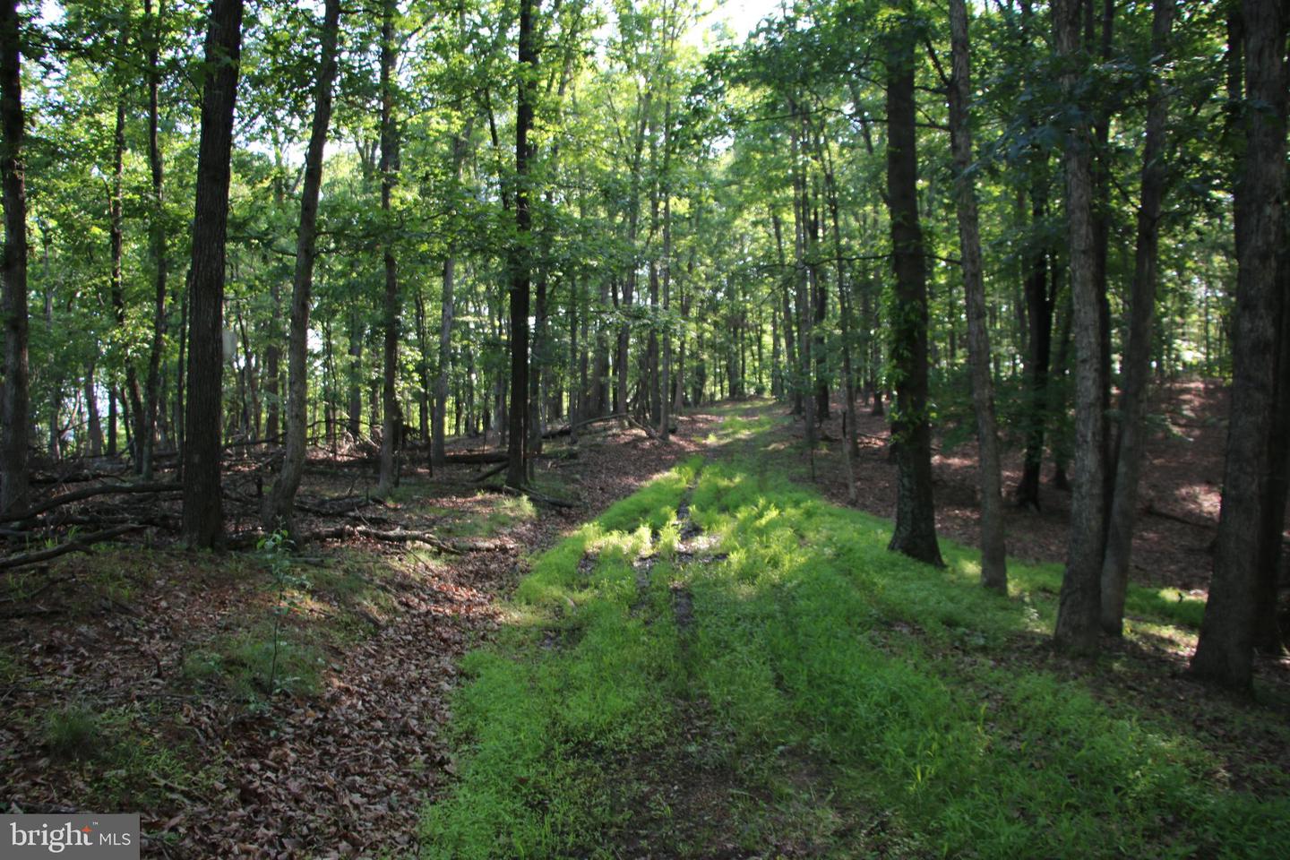 EASTER RIDGE LOT 7A LN, WINCHESTER, Virginia 22603, ,Land,For Sale,EASTER RIDGE LOT 7A LN,VAFV2034376 MLS # VAFV2034376