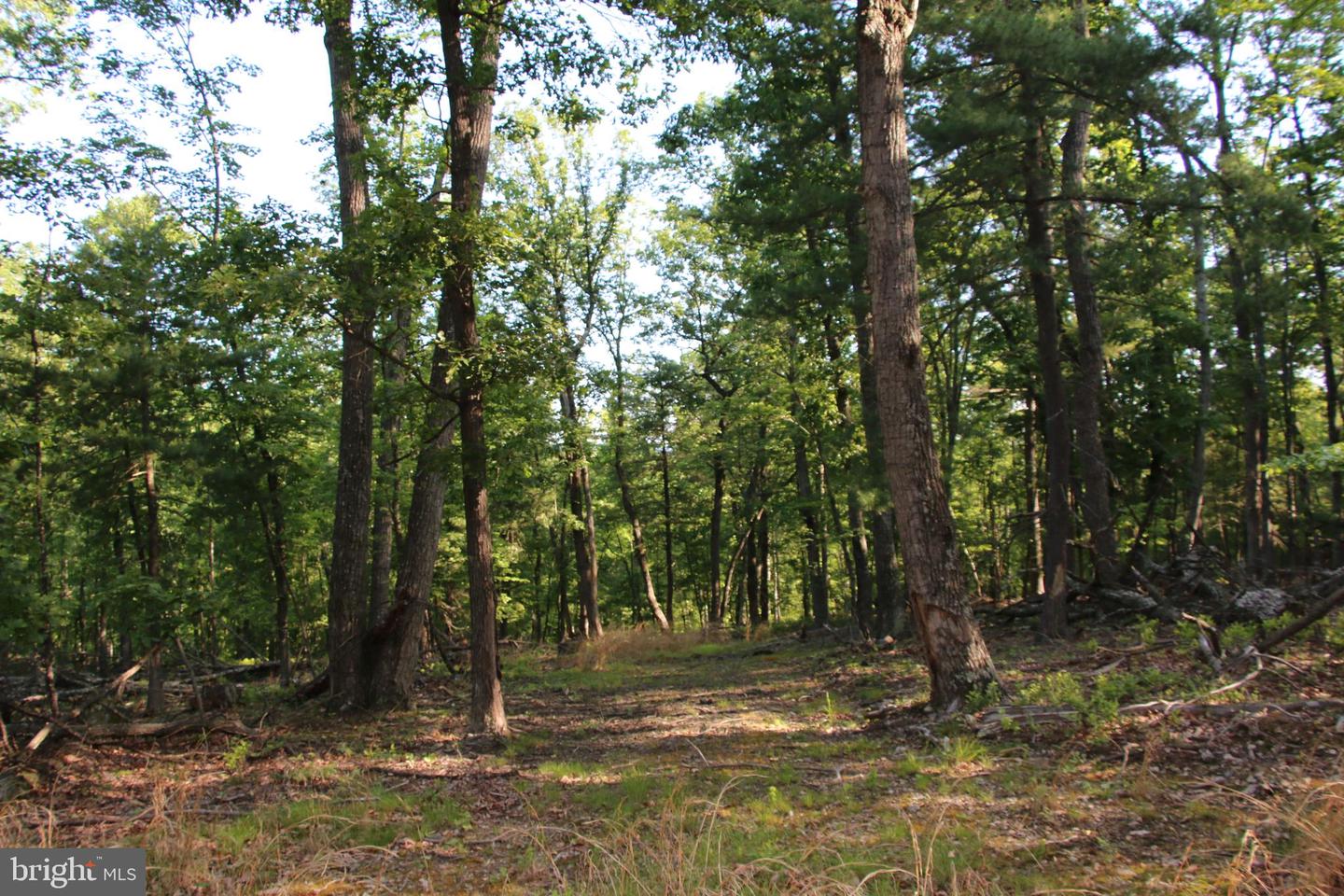 EASTER RIDGE LOT 7A LN, WINCHESTER, Virginia 22603, ,Land,For Sale,EASTER RIDGE LOT 7A LN,VAFV2034376 MLS # VAFV2034376