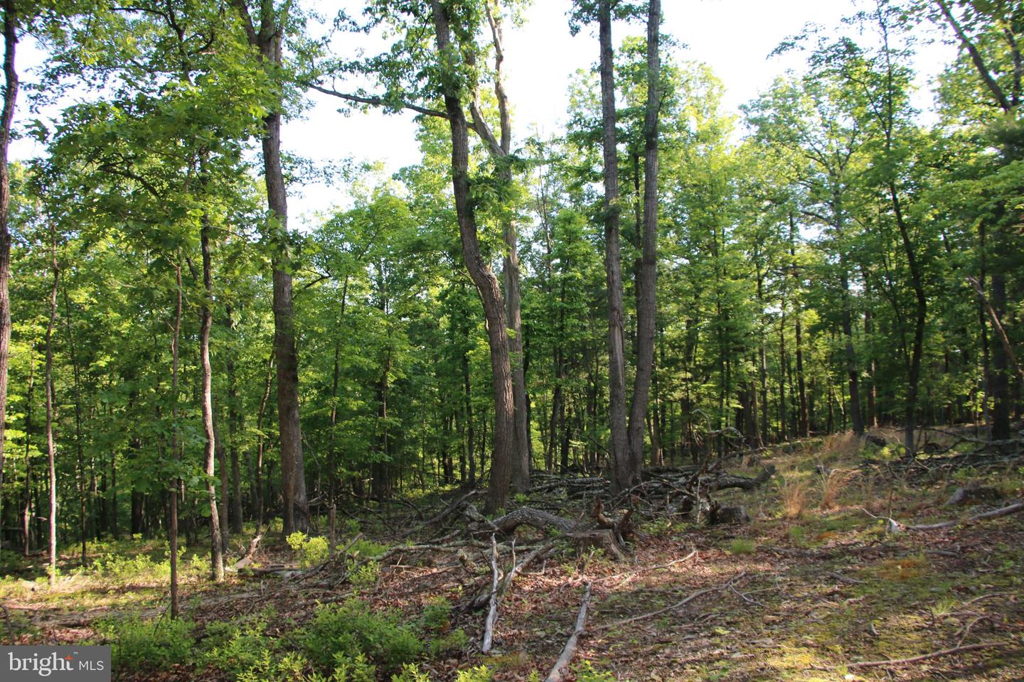 EASTER RIDGE LOT 7A LN, WINCHESTER, Virginia 22603, ,Land,For Sale,EASTER RIDGE LOT 7A LN,VAFV2034376 MLS # VAFV2034376