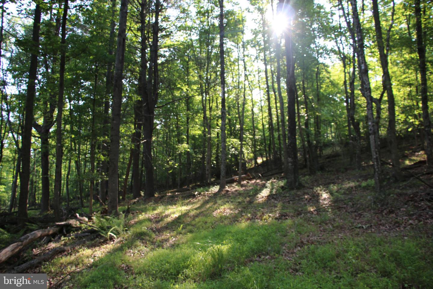 EASTER RIDGE LOT 7A LN, WINCHESTER, Virginia 22603, ,Land,For Sale,EASTER RIDGE LOT 7A LN,VAFV2034376 MLS # VAFV2034376