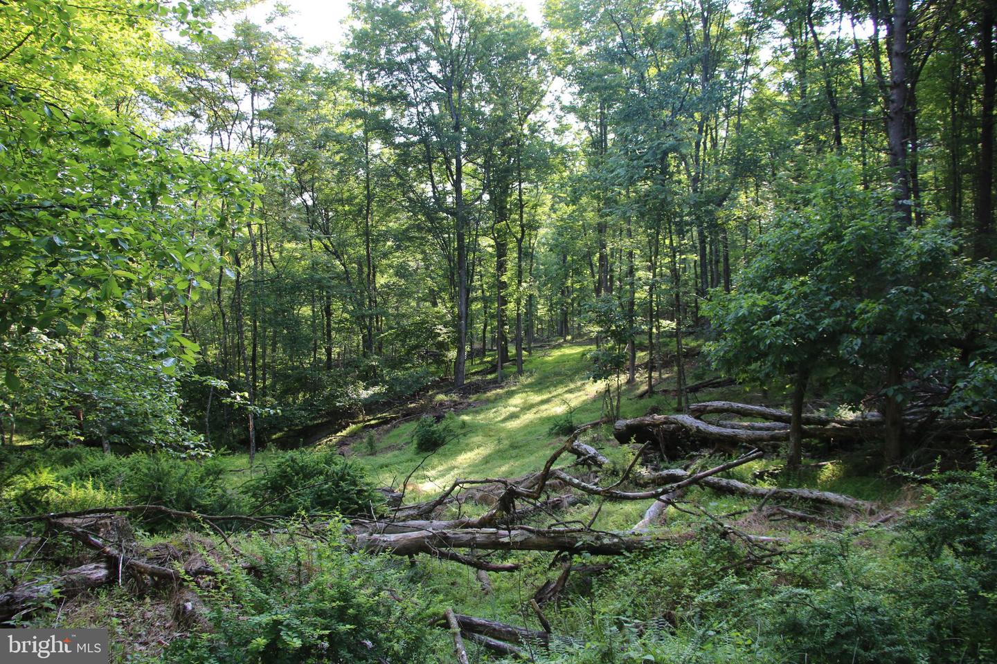 EASTER RIDGE LOT 7A LN, WINCHESTER, Virginia 22603, ,Land,For Sale,EASTER RIDGE LOT 7A LN,VAFV2034376 MLS # VAFV2034376