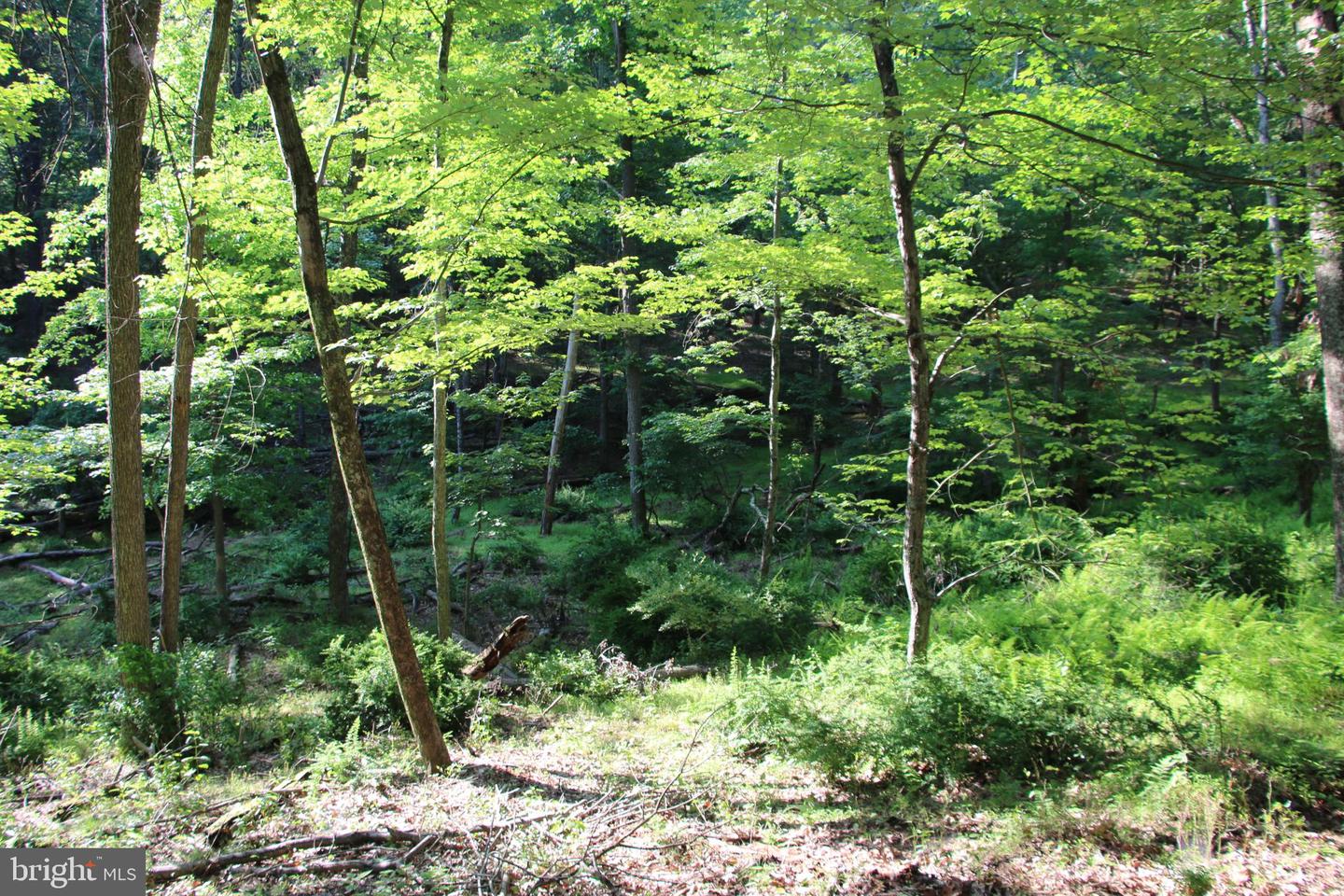 EASTER RIDGE LOT 7A LN, WINCHESTER, Virginia 22603, ,Land,For Sale,EASTER RIDGE LOT 7A LN,VAFV2034376 MLS # VAFV2034376