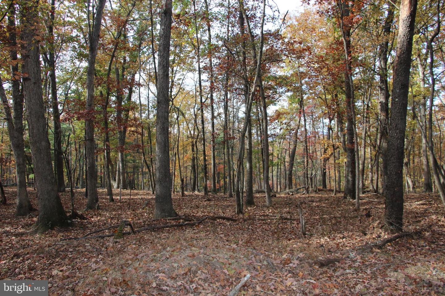 EASTER RIDGE LOT 7A LN, WINCHESTER, Virginia 22603, ,Land,For Sale,EASTER RIDGE LOT 7A LN,VAFV2034376 MLS # VAFV2034376