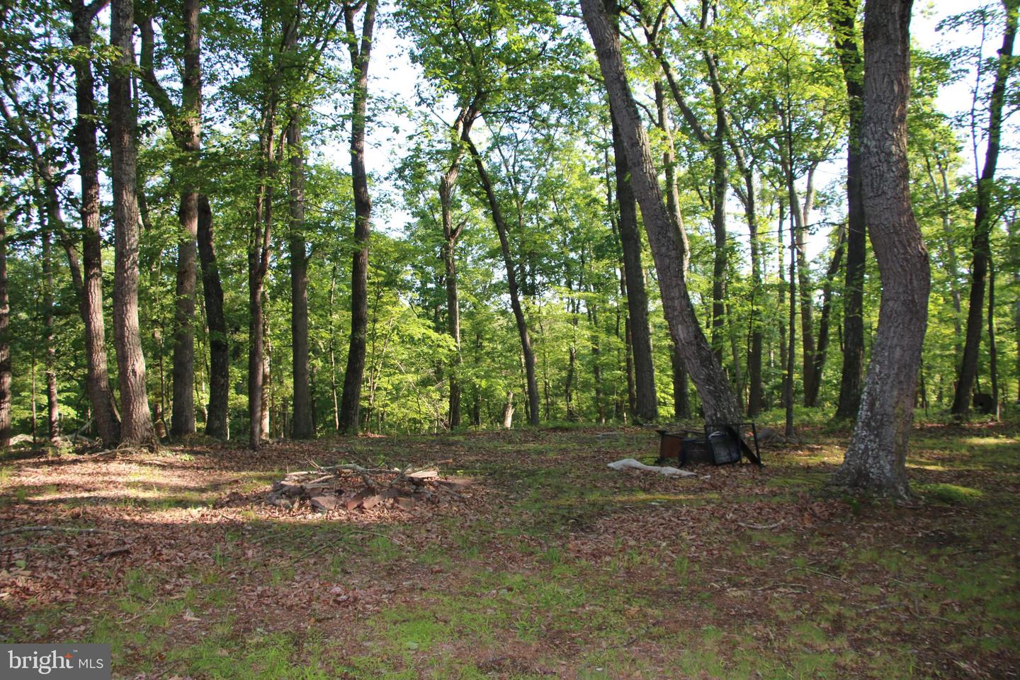 EASTER RIDGE LOT 7A LN, WINCHESTER, Virginia 22603, ,Land,For Sale,EASTER RIDGE LOT 7A LN,VAFV2034376 MLS # VAFV2034376