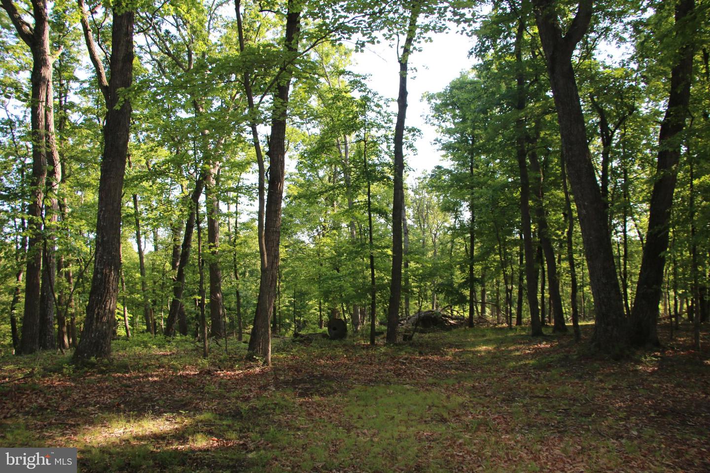 EASTER RIDGE LOT 7A LN, WINCHESTER, Virginia 22603, ,Land,For Sale,EASTER RIDGE LOT 7A LN,VAFV2034376 MLS # VAFV2034376