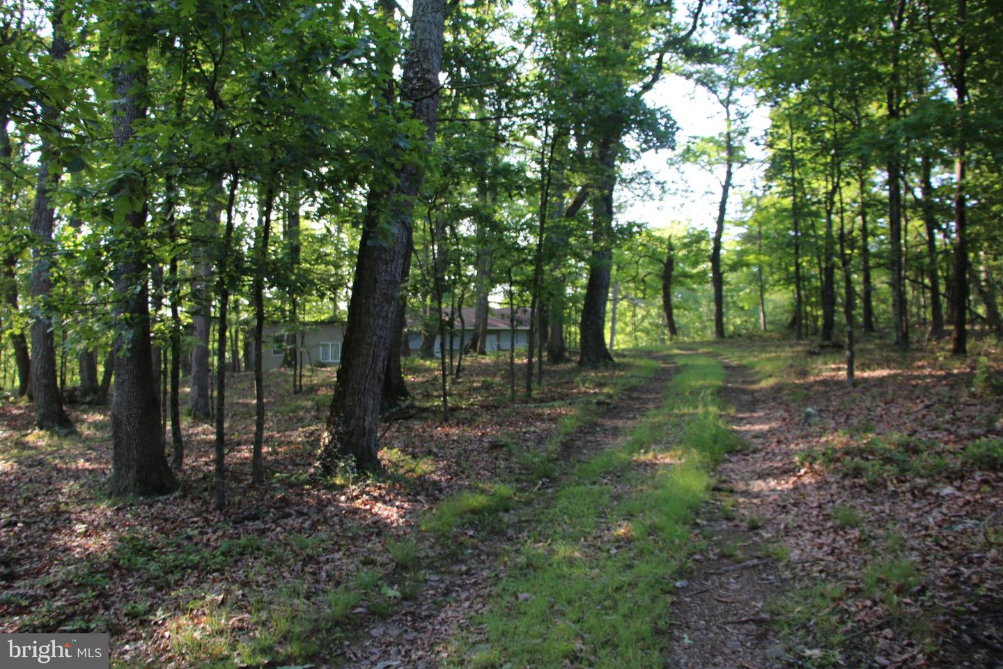 EASTER RIDGE LOT 7A LN, WINCHESTER, Virginia 22603, ,Land,For Sale,EASTER RIDGE LOT 7A LN,VAFV2034376 MLS # VAFV2034376