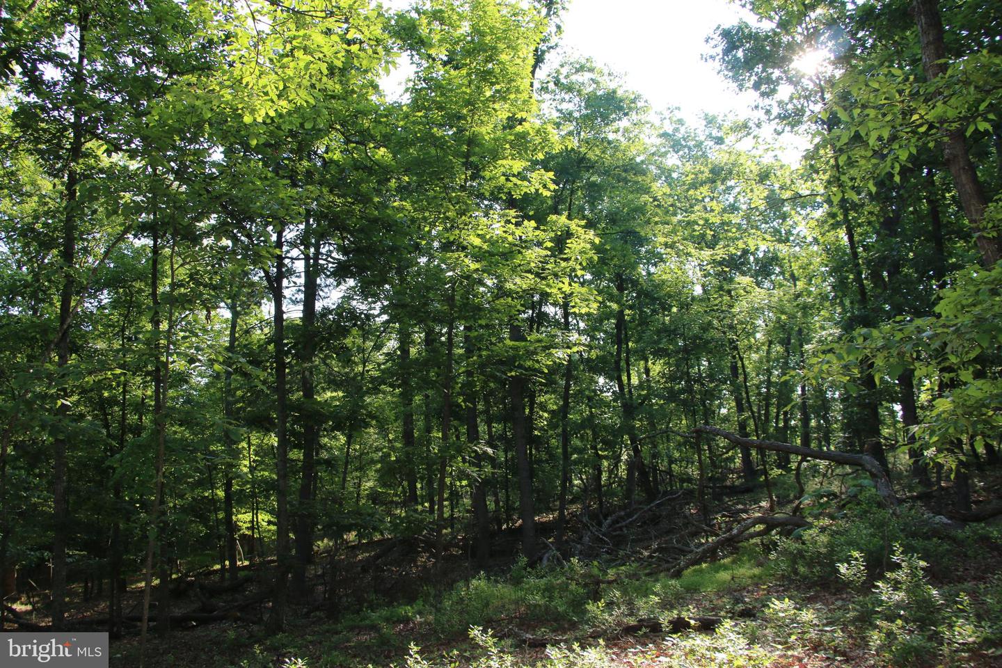 EASTER RIDGE LOT 7A LN, WINCHESTER, Virginia 22603, ,Land,For Sale,EASTER RIDGE LOT 7A LN,VAFV2034376 MLS # VAFV2034376